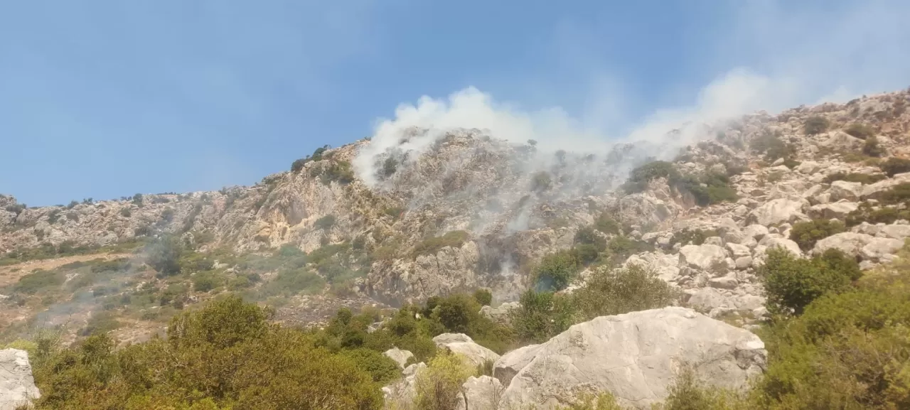 Marmaris Söğüt’te Çıkan Yangında Bir Kişi Gözaltına Alındı!