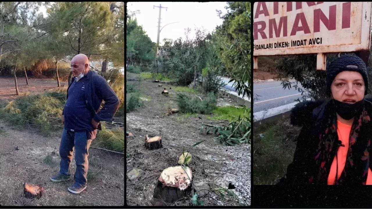 Hatıra Ormanı’nın Ağaçlarını Kestiler! Burası Marmaris!