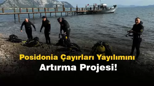 Muğla'da Posidonia Çayırlarını Çoğaltma Projesi Başlatıldı