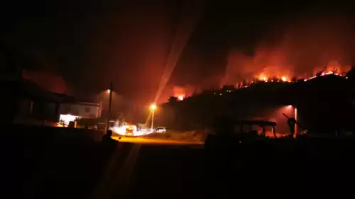 Bördübet Yangınını Çıkarana 20 Yıl Hapis İstendi!